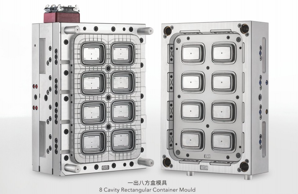Thin Wall Mould